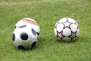 AYX官网-基层足球发展资金紧张，基层足球发展资金紧张的原因